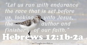 Hebrews 12:1a-2b Devotional on a Sandpiper and Running the Race